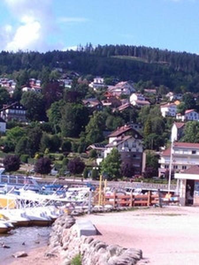 Studio Cosy Avec Vue Sur Lac Et Montagne A Gerardmer 30 M² Zewnętrze zdjęcie